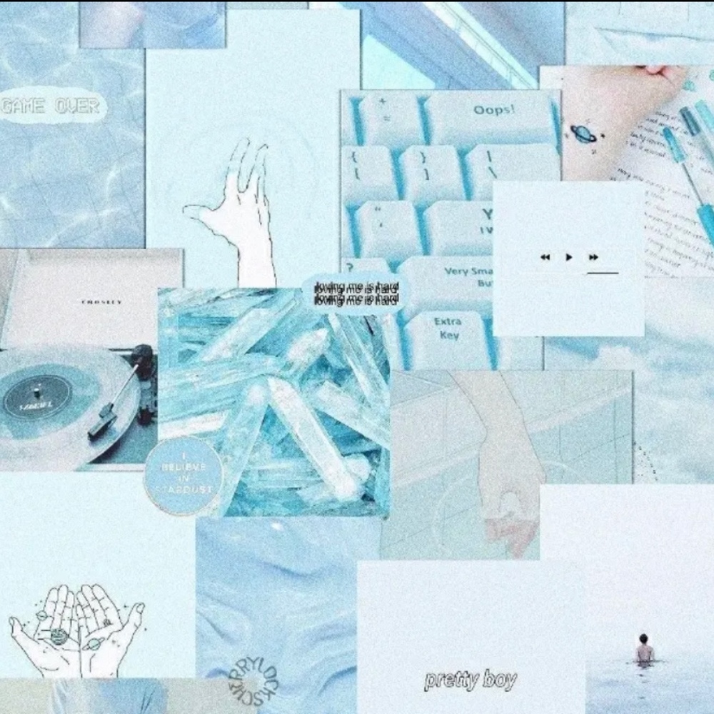 Meet your Posher, Sophia